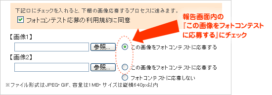 フォトコンテスト画面