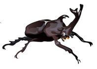 kabutomusi2.png