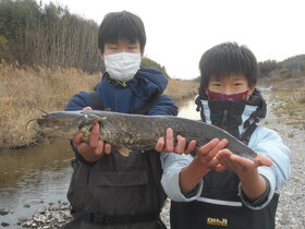 28兵庫県　玉一アクアリウム.JPG