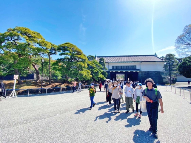 皇居乾通りと皇居東御苑で自然観察をしました