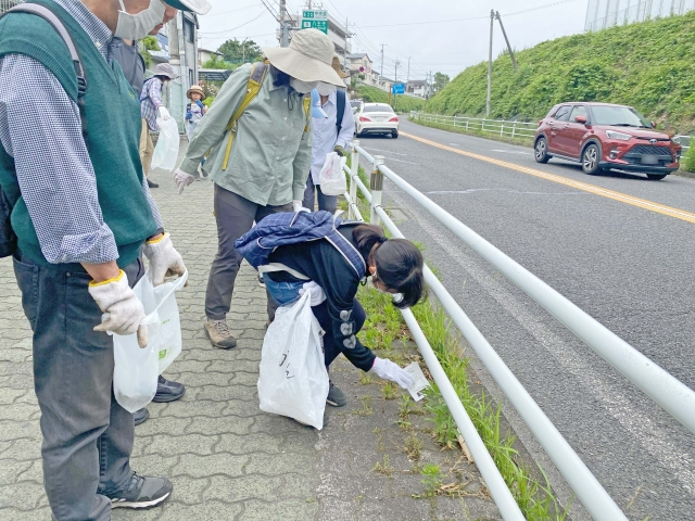 街の清掃活動と片倉城址公園での初夏の自然観察