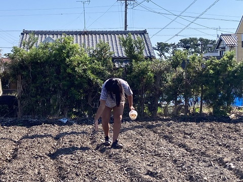 麦の種蒔きとピザづくり