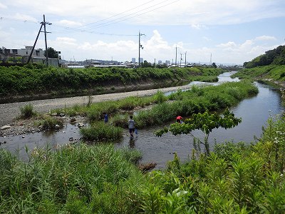 芥川の観察③