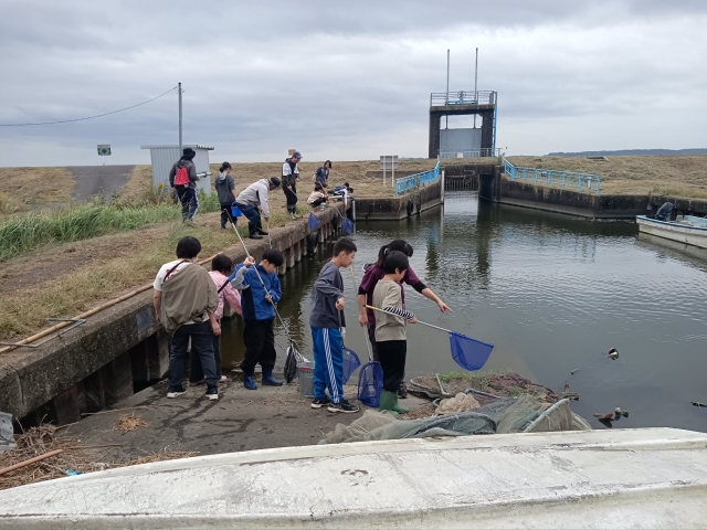 生物多様な学校ビオトープの造成