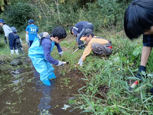 ホタル再生活動とハゼ釣り