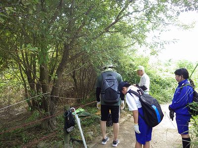 三島江野草地区の環境調査 ⑥