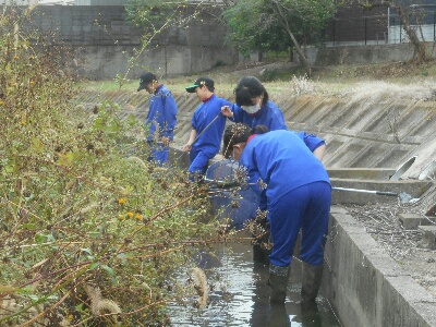 トライやる・ウィーク　明石川用水路調査