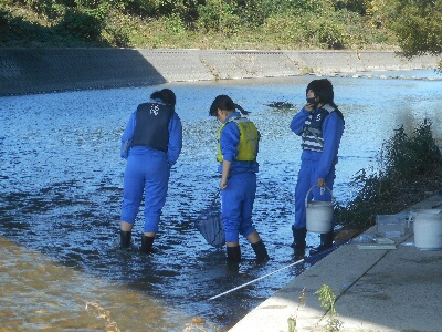 トライやる・ウィーク　明石川中流調査と田中川水路調査とビオトープの除草