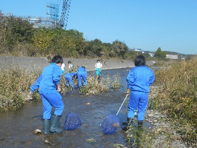 トライやる・ウィーク　明石川中流調査