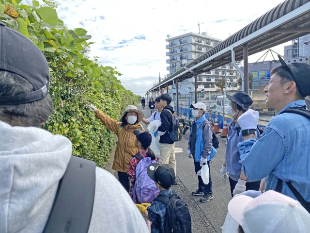 街の清掃活動と秋の自然観察