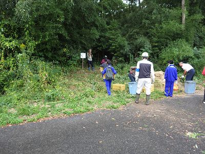 桂川河道内竹林の伐採活動③