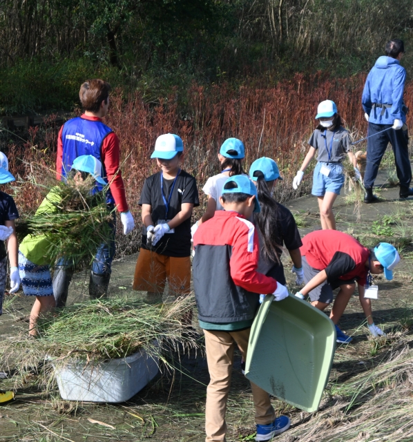 大淀川に住む生き物調べ