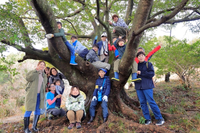 森ぶら♪2月　冬の森ぶらぶら＆生物の楽園作り