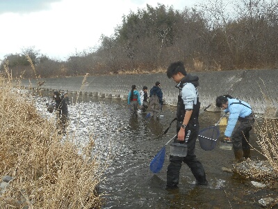 明石川中流調査